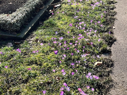 23-02-13 12-41-29 4176